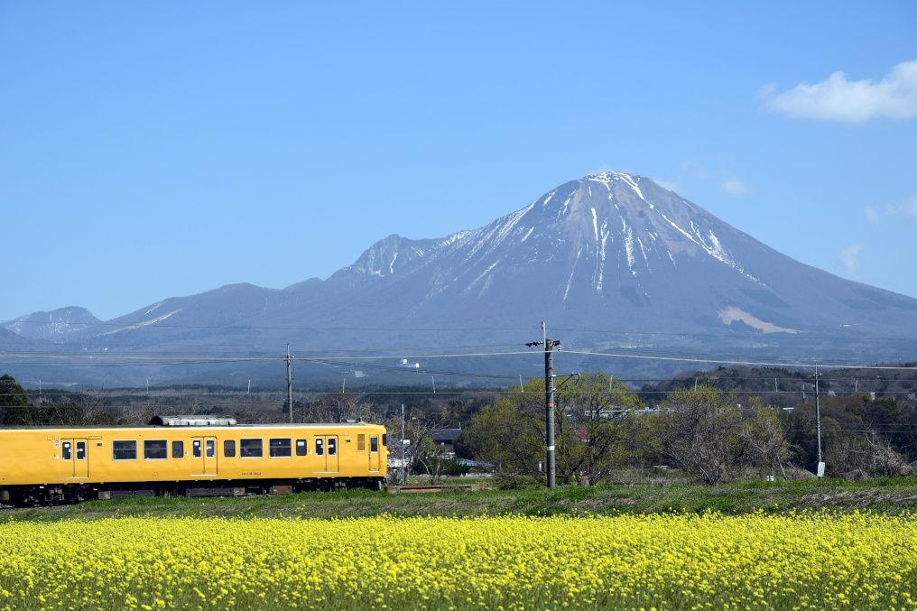 大山と菜の花と電車