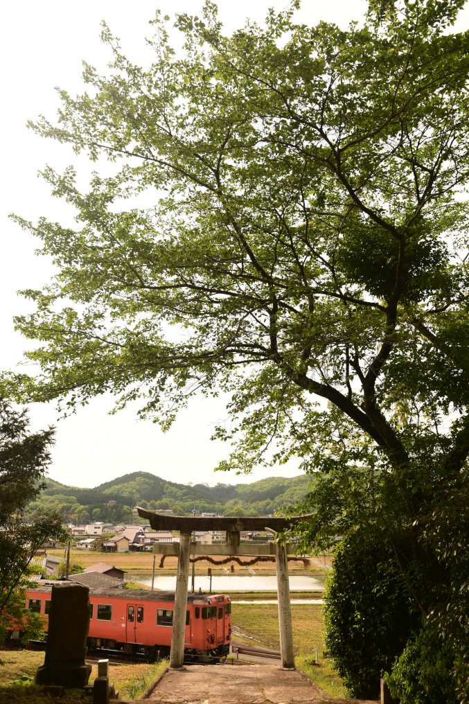 志賀神社の鳥居と芸備線