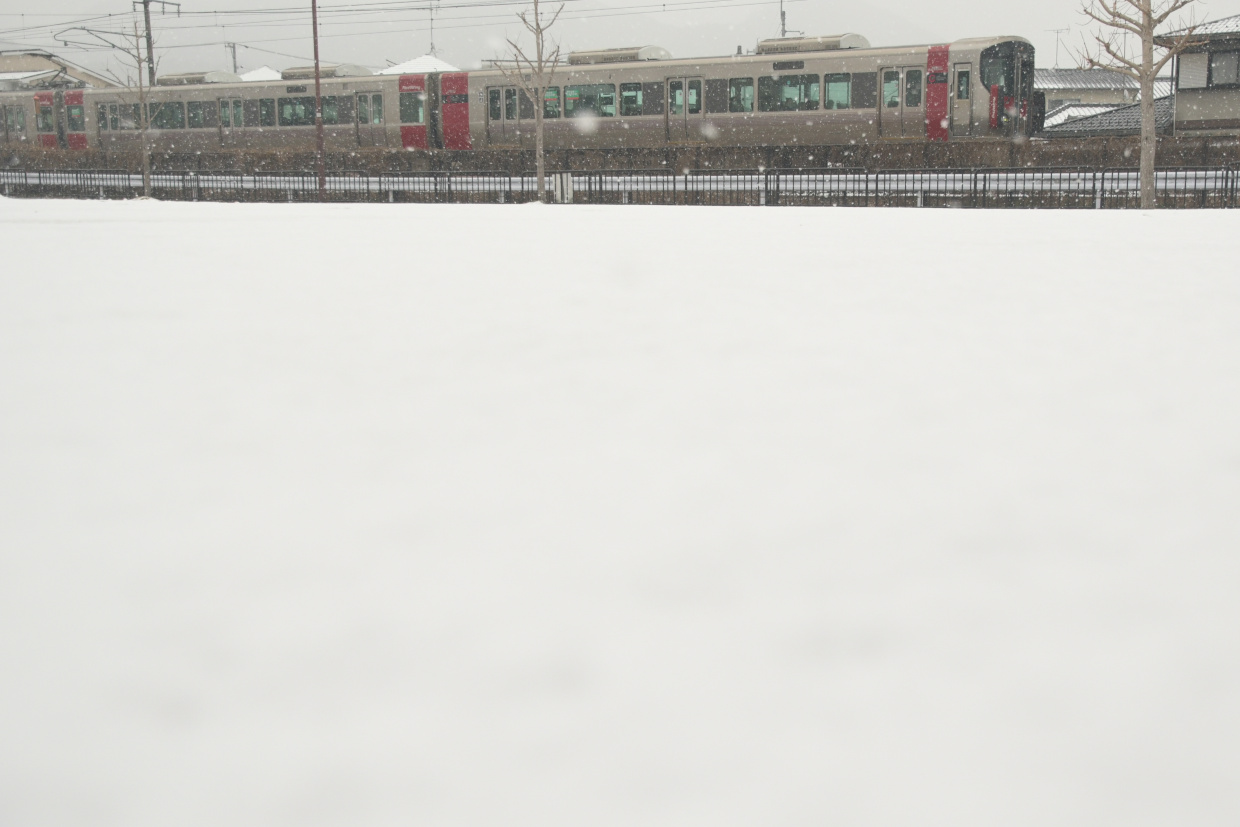 雪化粧の公園と227系