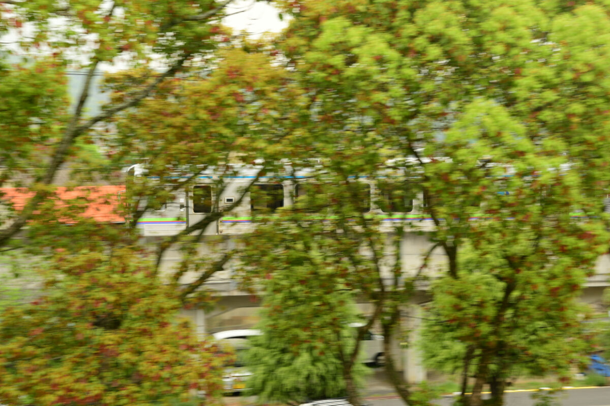 街路樹の向こうを走る井原鉄道