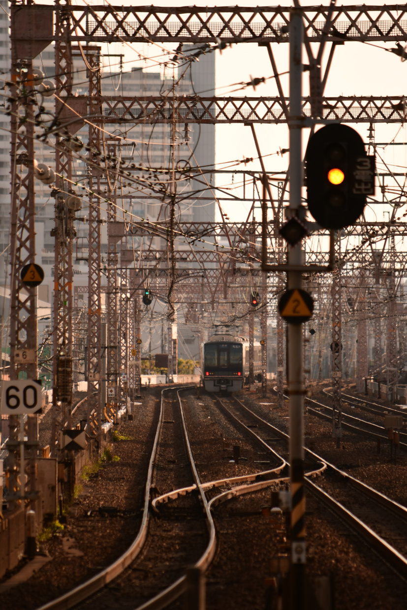線路の上にずっと続く無数の架線