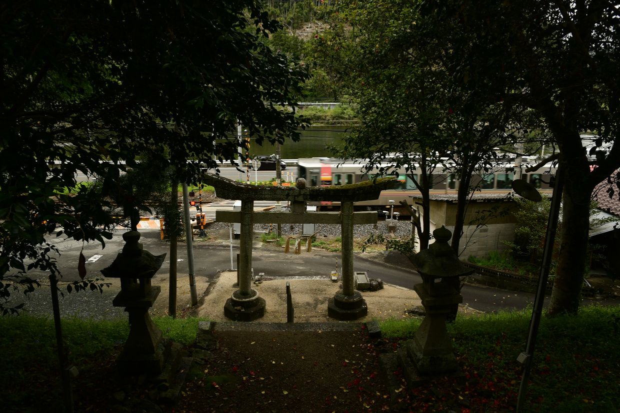 八幡神社を走り抜けるUrara
