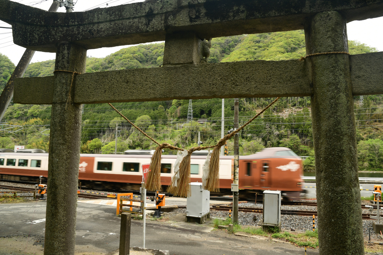 鳥居の間を走り抜けるやくも