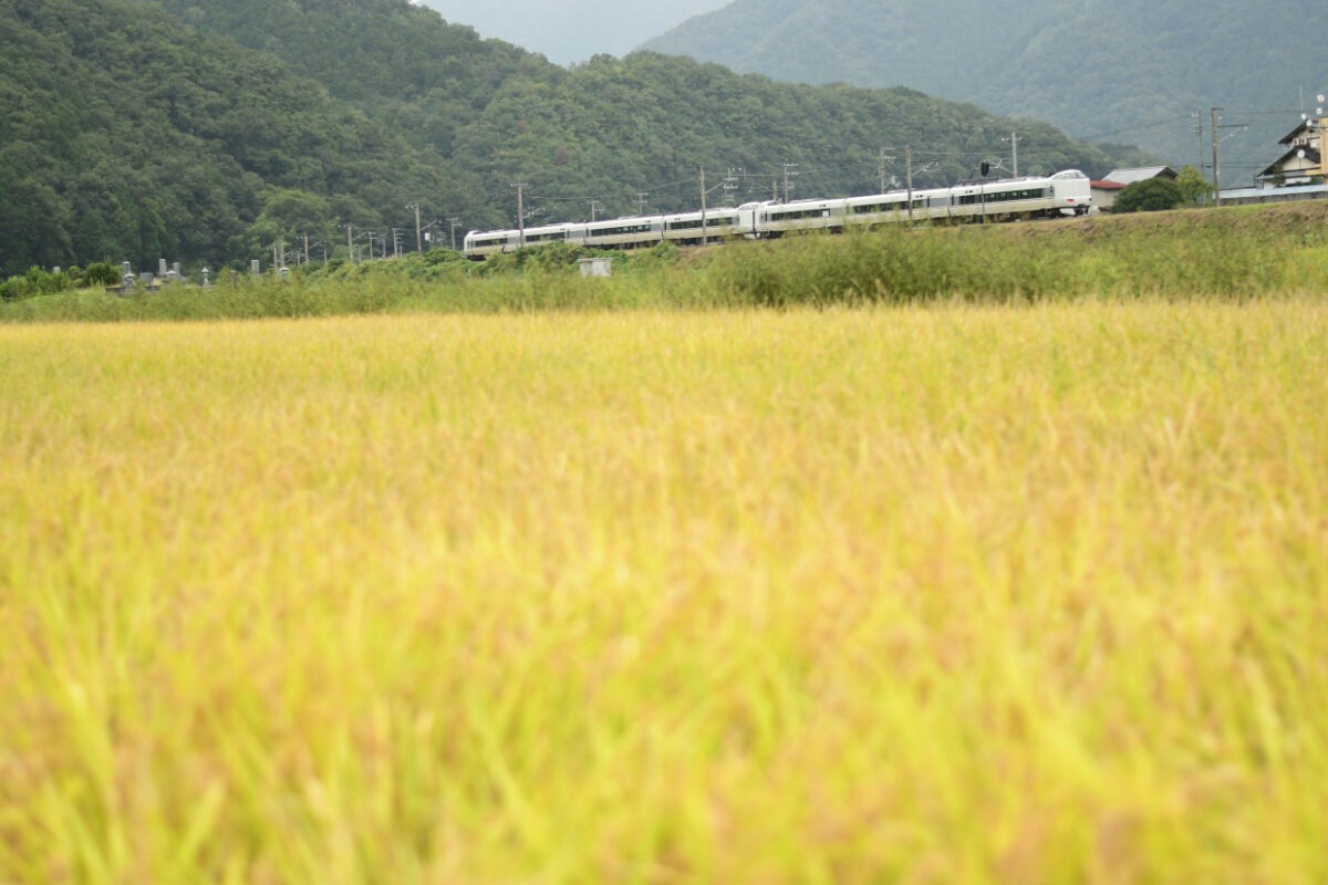 こうのとり