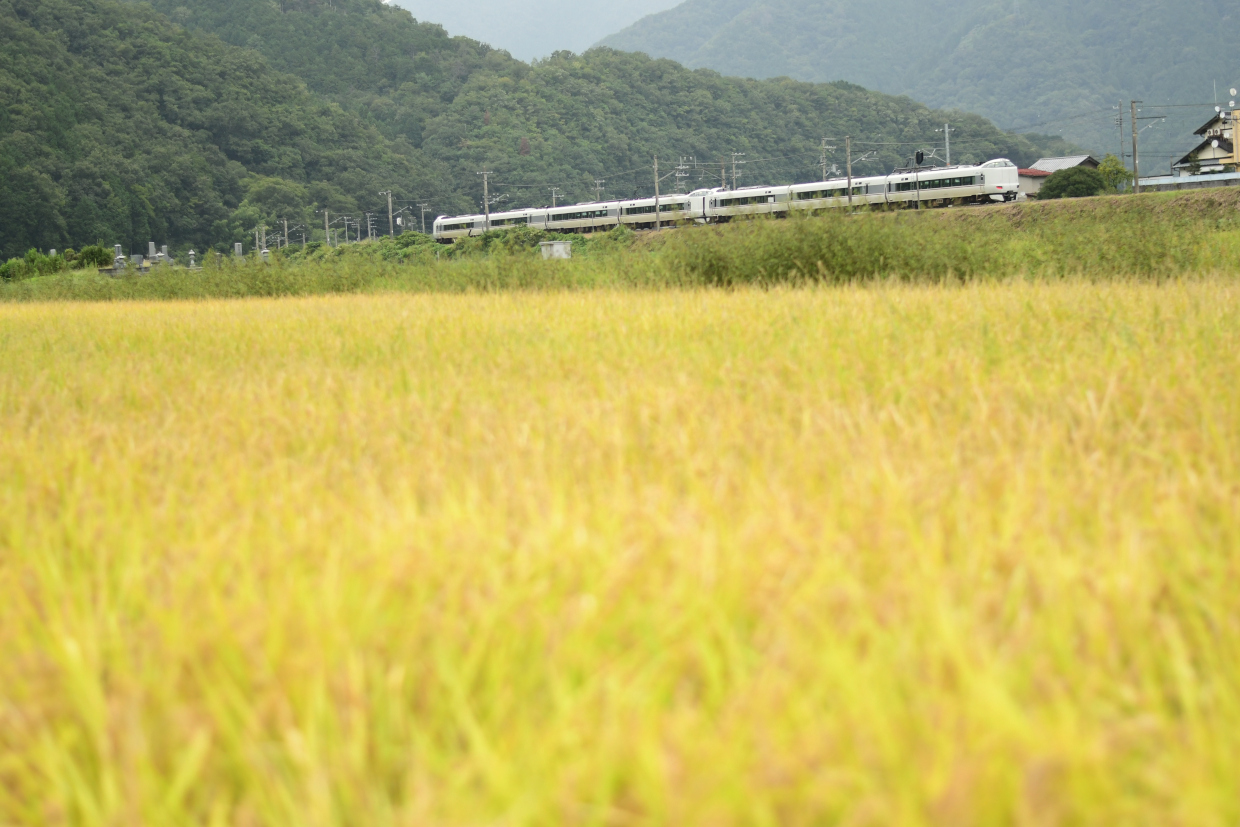 こうのとり