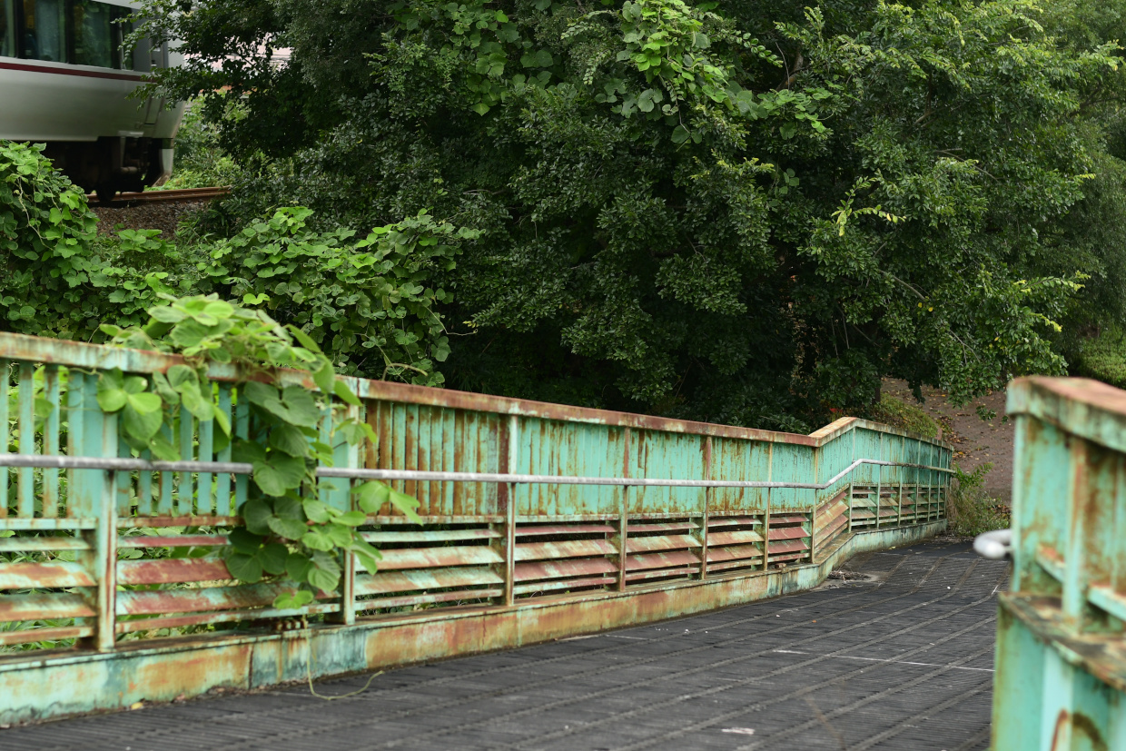 錆びた歩道橋とこうのとり