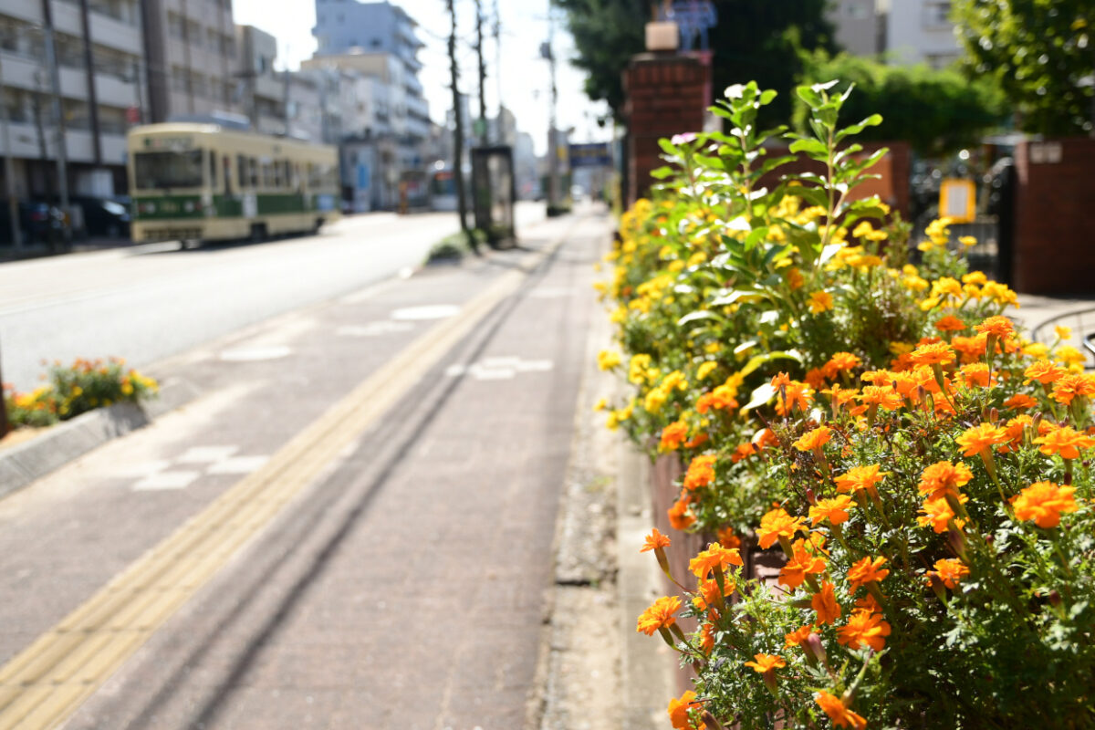 花壇越しのひろでん