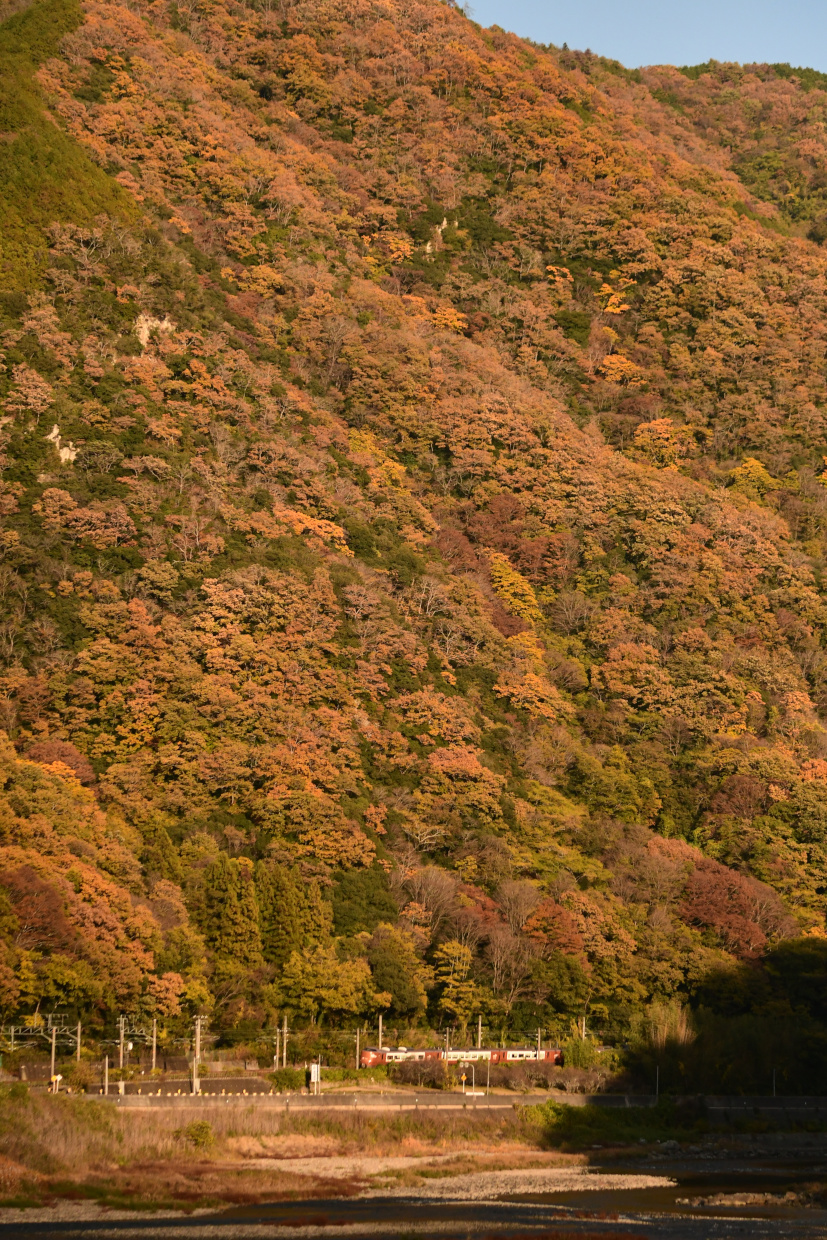 やくもと色づいた山