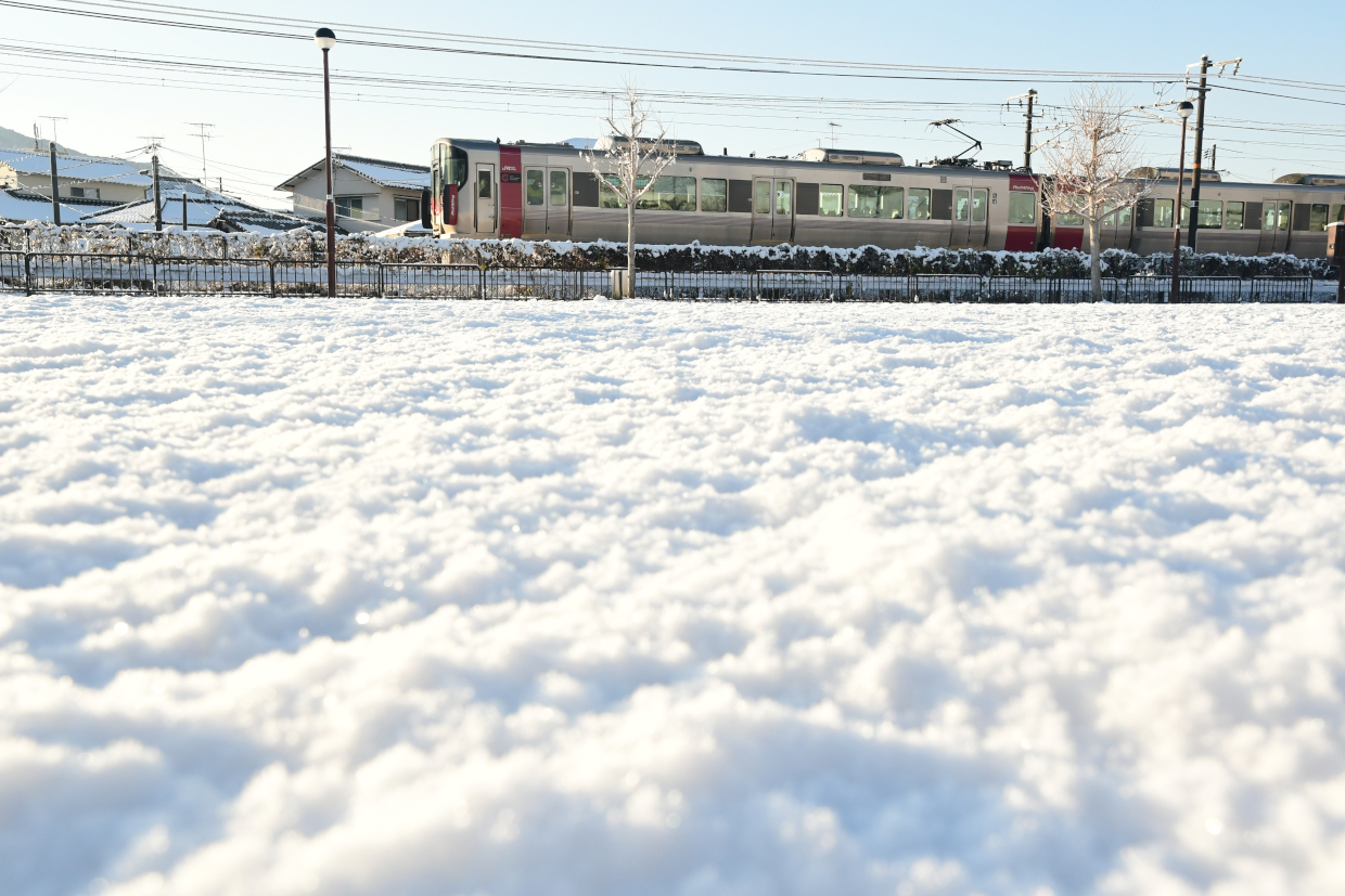 雪の公園とRed Wing