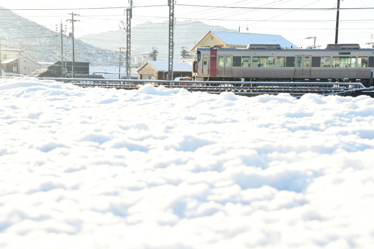 雪の土手とRed Wing