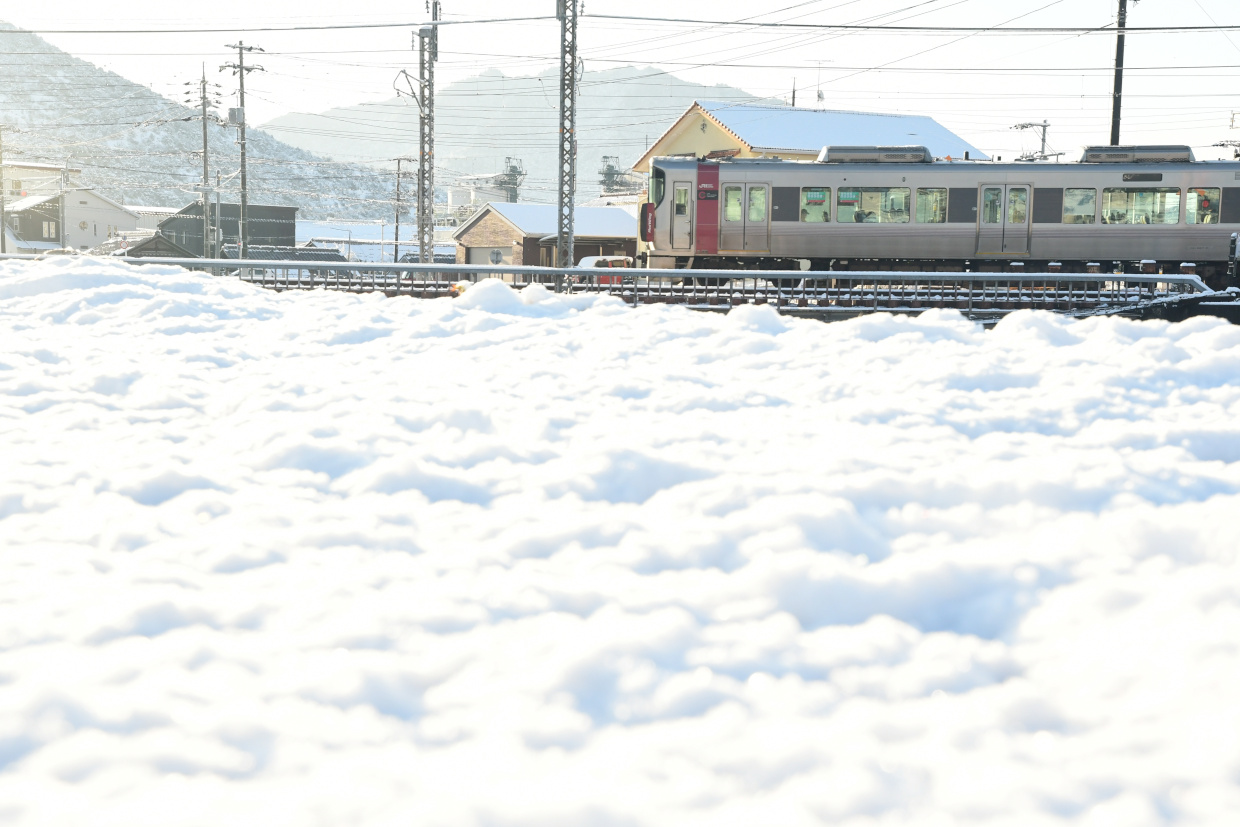 雪の土手とRed Wing