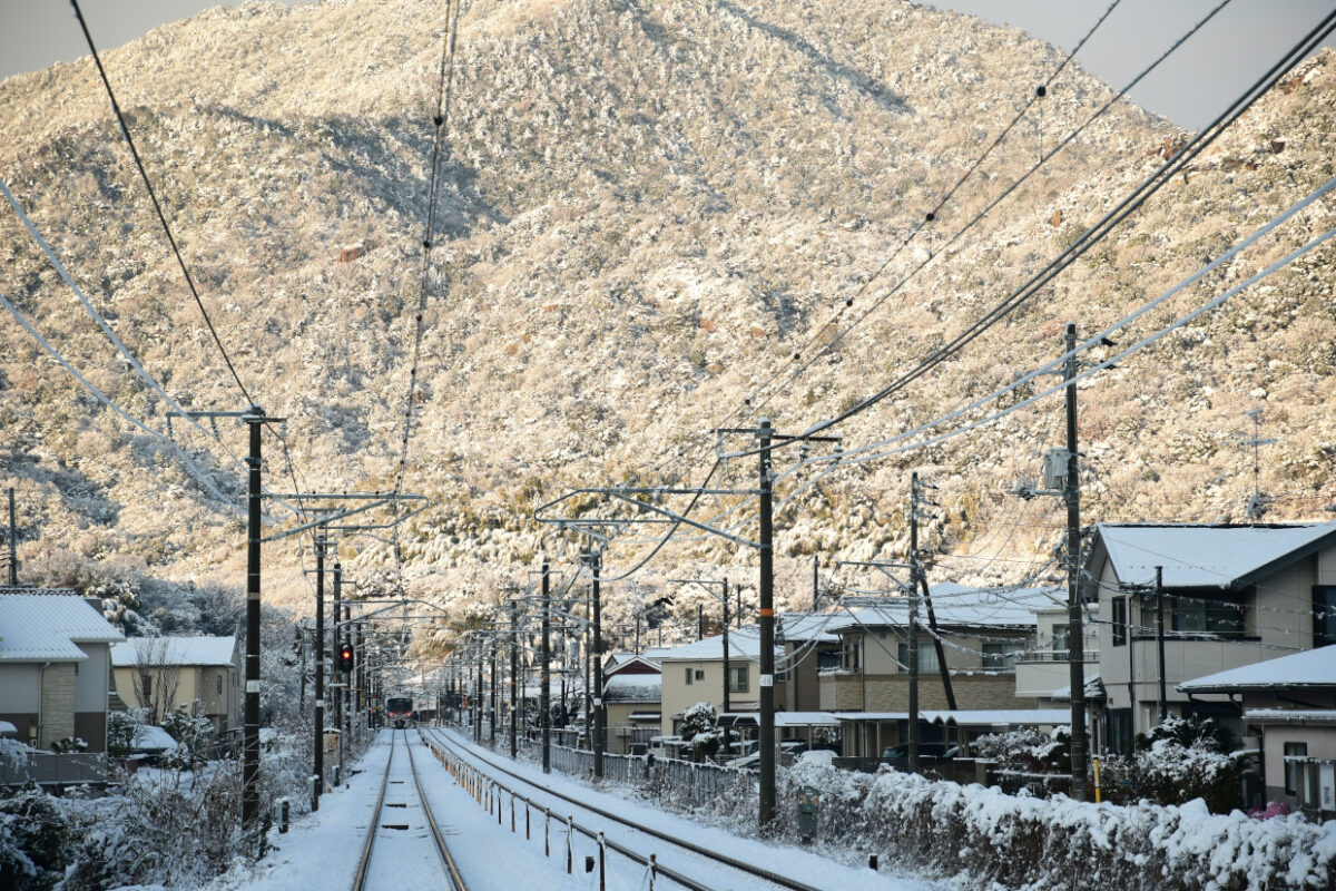 雪を冠った木々と227系