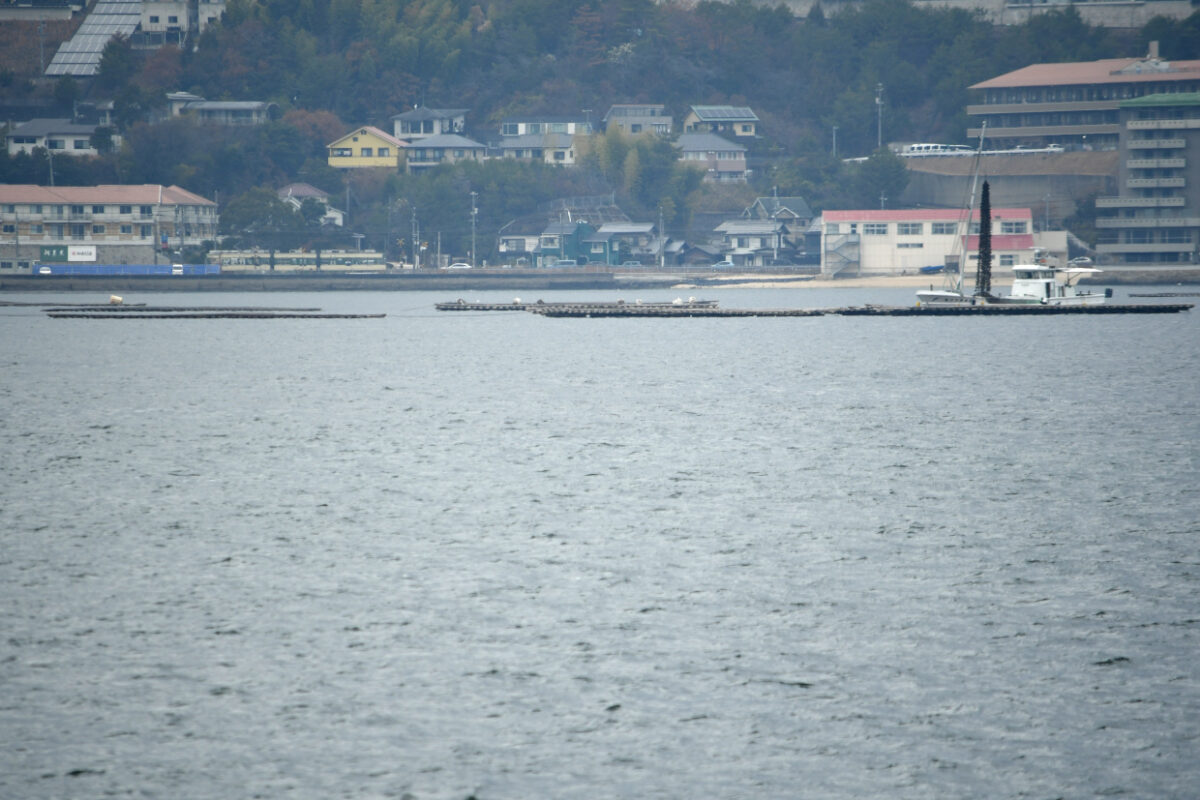 宮島へ向かうフェリーから見たひろでん