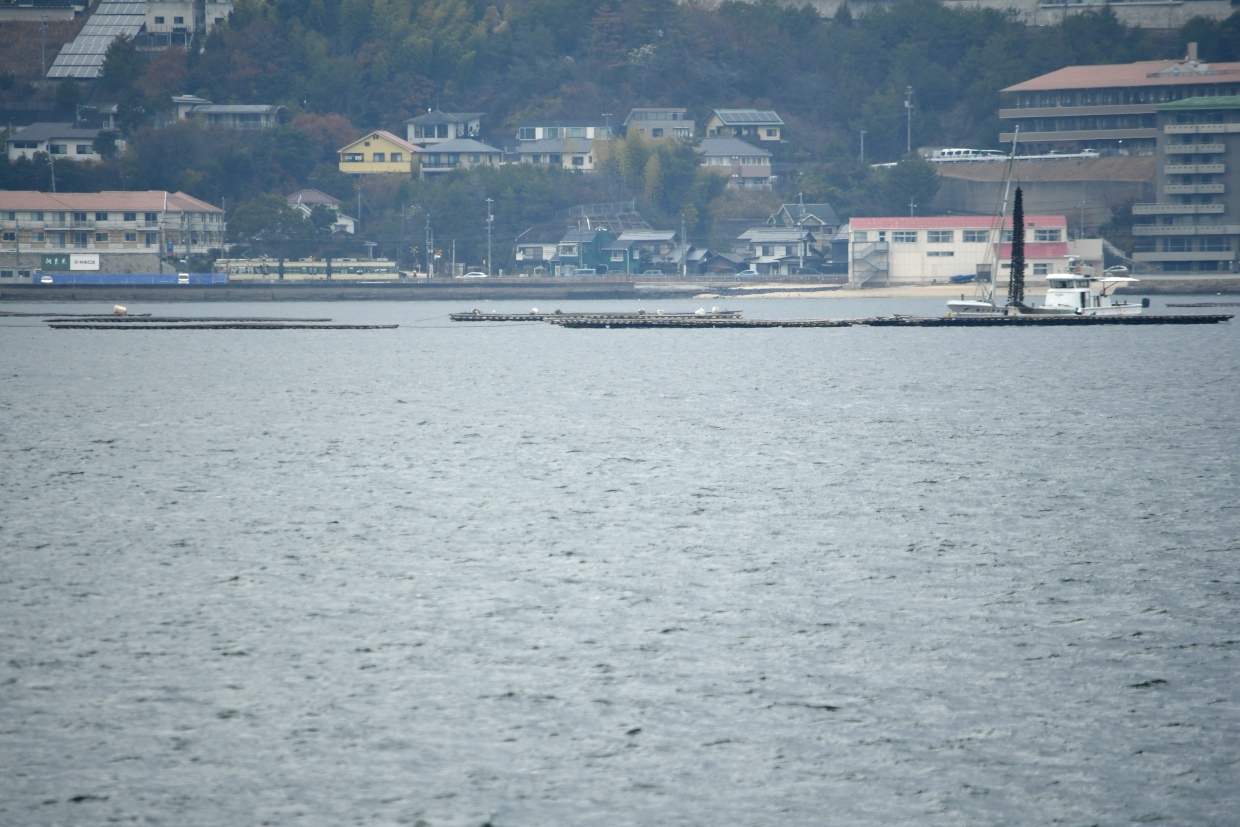 宮島へ向かうフェリーから見たひろでん