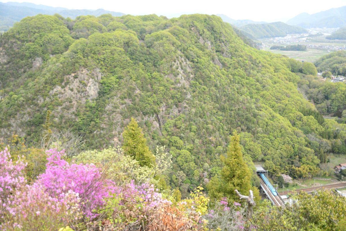 トンネルから飛び出した「せとうちブルー号」