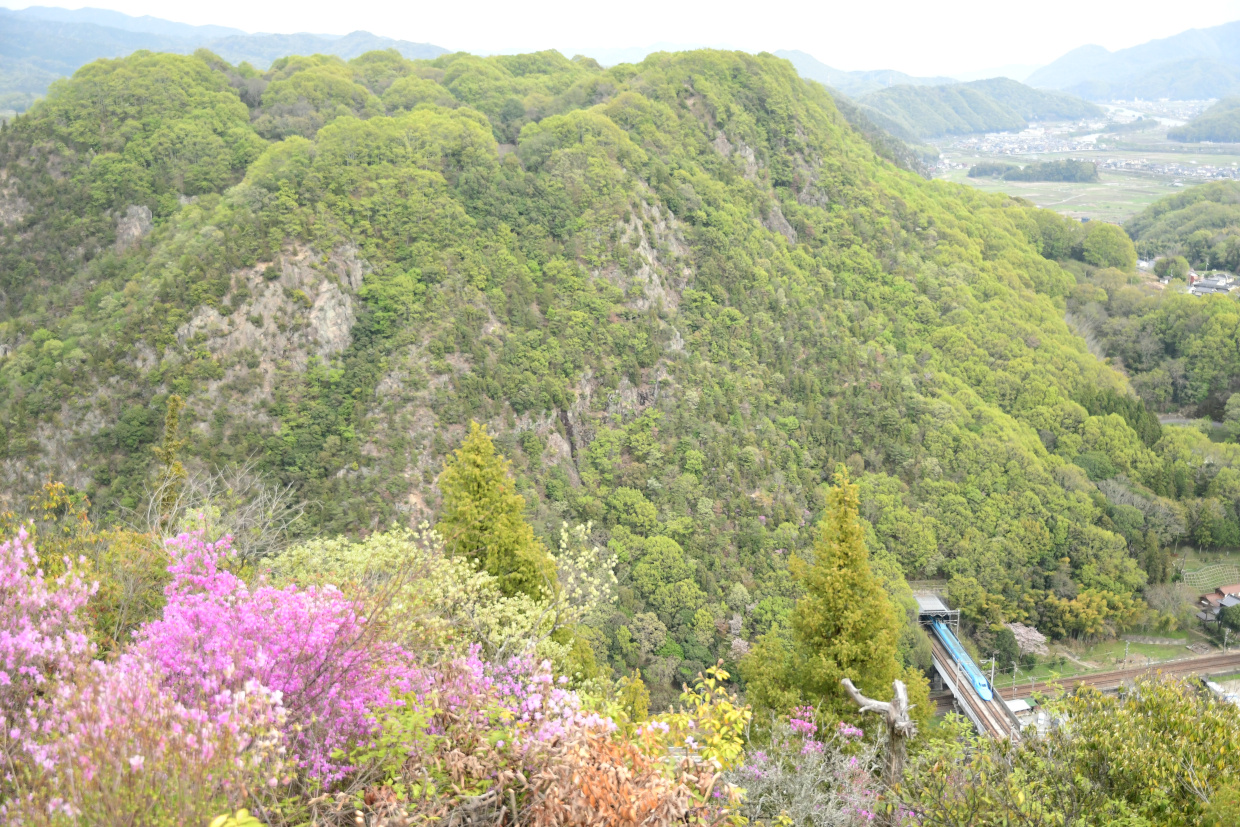 トンネルから飛び出した「せとうちブルー号」