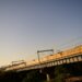 高梁川の夕陽に照らされた１１５系