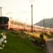 小道脇を走る227系